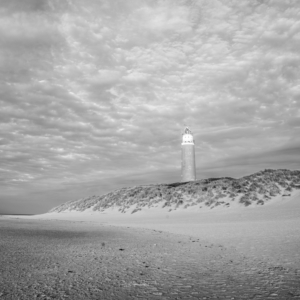 Texel