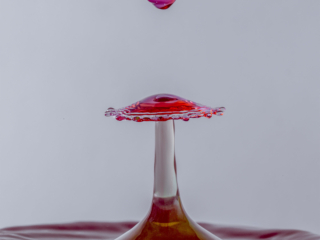 _CJO3297_2 kopie