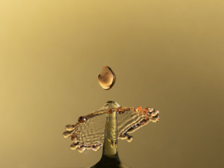 _CJO3317_2 kopie